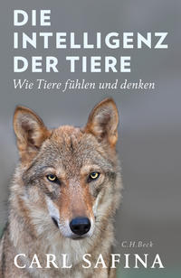 Cover: Safina Carl Die Intelligenz der Tiere
