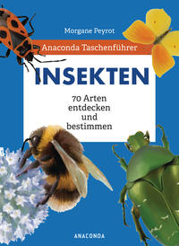 Cover: Morgane Peyrot Insekten - 70 Arten entdecken und bestimmen